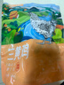 湘当鲜三黄鸡2.4斤 冷冻 农家散养土鸡 红烧炖汤食材  实拍图