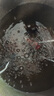 贝冠奇金鱼活体观赏鱼草金冷水鱼锦鲤活鱼小型小金鱼宠物冷水活体鱼包邮 锦鲤3条（17-21cm）可备注品种 实拍图