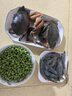 【活蟹】掌昕鲜三门青蟹 公母对蟹（8-9两/只）2只 生鲜活螃蟹父亲节送礼盒装源头直发 实拍图