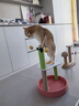 喵仙儿猫爬架大型一体猫窝多层跳台剑麻猫抓柱耐磨猫抓板蛋黄猫玩具  实拍图