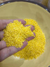 素稷（SUJI）有机黄小米450g金苗K1 月子米小米粥米油醇厚 杂粮粗粮 实拍图