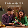 乐高（LEGO）积木拼装10309 肉质植物男孩女孩玩具生日礼物 实拍图
