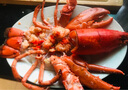 鲜驰熟冻 波士顿大龙虾波龙加拿大进口虾类活虾大龙虾海鲜 波士顿龙虾 净重400-500g*2只 实拍图