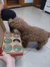 HELLOJOY狗狗零食鸡肉罐头6罐*85g成幼犬拌狗粮湿粮罐头非主食罐头 实拍图