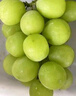 振亿沭云南阳光玫瑰葡萄 新鲜晴王无籽香印提子 当季时令孕妇新鲜水果 净重 3斤 单果8-10g【优选装】 实拍图