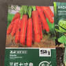 寿禾 红胡萝卜种子种苗秋季阳台播种蔬菜种籽 三红七寸参种子20g*2袋 实拍图