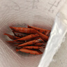 大千喜草原黑珍珠瓜子葵花籽焦糖味独立小包装休闲零食新货炒货 焦糖口味15小袋 实拍图