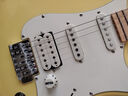 Tagima电吉他塔吉玛TG510 530 635单摇单单双男女初学者入门电吉他套装 TG530PROYL单单双【柠檬黄】39英寸 实拍图