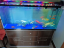 松宝中大鱼缸客厅家用落地懒人生态免换水带柜子一体自循环金鱼水族箱 120CM鱼缸(含显示屏)+造景+木柜 实拍图