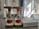 五粮液（WULIANGYE）【官方旗舰】39度五粮液浓香型白酒低度白酒 39度 500mL 2瓶 实拍图