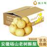 京地达安徽砀山酥梨净重3斤大果约350g 雪梨贡梨子 源头直发 包邮 实拍图