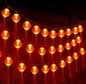 新玥新年装饰灯串2026春节场景布置红灯笼彩灯串灯家用室内外氛围灯 实拍图