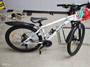 喜德盛（xds）喜德盛黑客350山地自行车喜德盛自行车山地车喜德盛山地车成人 26寸x15.5寸|白/灰|2026款内走线 实拍图