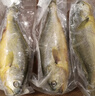 海宏盈 黄花鱼深海大黄鱼海鱼新鲜黄花鱼水饺食材海鲜鱼类 450g-550g/条共3条 实拍图