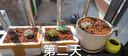 多肉植物办公室内阳台肉肉桌面亲子园艺微景观好养绿植盆栽DIY 多肉植物6颗（精选套装A） 实拍图