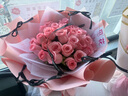 花递鲜花速递小时达99朵玫瑰花束生日礼物送女友同城配送当日达 33朵戴安娜粉玫瑰—公主奶油|dye82 平时价 实拍图