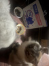 猫博士猫粮美毛无谷鲜肉粮全价成猫猫粮幼猫粮全阶段美毛配方试吃 【周期装】美毛1kg*5 实拍图