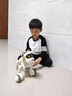 柏德士智能机器狗儿童早教益智玩具1一3岁男女宝宝机器狗小孩子生日礼物 智能机器狗--香槟金 实拍图