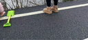 环球厚底雪地靴女2025新款冬季加绒加厚皮毛一体户外保暖防滑棉鞋女潮 驼色【尺码偏小，建议拍大一码】 36 实拍图