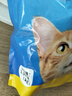喜跃(Friskies)成猫猫粮1.3kg 海鲜味 深海鱼鲭鱼 海带 实拍图