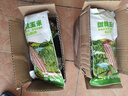 联承河北白糯玉米8支单根200-250g玉米苞米棒子蔬菜黏玉米真空包装 实拍图