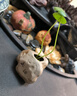 鹅笙记禅意茶桌陶瓷摆件茶宠仿石头装饰品茶台办公室桌面水培花器 止语 实拍图