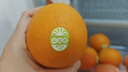 云冠橙净重10斤装2025褚橙官方云南冰糖橙当季新鲜水果礼盒橙子产地直发 优级果云冠橙 5kg 实拍图