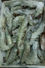 尚致虾青岛大虾新鲜大虾青虾冰虾海虾大对虾鲜活冷冻基围虾 17-22厘米 3斤(净重)  高品质 3斤 实拍图