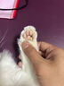 小佩PETKIT宠物电推剪 猫咪狗狗宠物店剃毛器专业推狗毛美容通用不卡 2合1电推剪【基础款】 实拍图