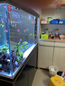 森森（SUNSUN）大型鱼缸底过滤水族箱客厅家用落地玻璃生态金鱼缸 屏风隔断款 1.2米长35cm宽（黑白灰可选） 实拍图