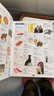 DK儿童图解英语词典 英文原版 DK Children's Illustrated Dictionary 小学生英语5000词汇 英语工具书 搭DK1000个英语常用词词典 DK儿童图解词典 实拍图