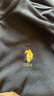 U.S. POLO ASSN.马甲男抓绒摇粒绒春秋立领无袖背心男装外套黑色L 实拍图