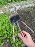 安赛瑞 两用小锄头 养花种菜园艺除草松土赶海工具 黑色 5J00320 实拍图