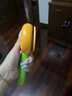 宠物狗狗梳毛专用去浮毛神器柯基比熊柴犬毛发清理用品猫毛狗毛梳 绿色 实拍图