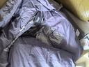 坦博尔羽绒服女短款秋冬连帽宽松保暖女士外套厚TD236356 芝袊紫 190  实拍图