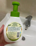 子初 婴儿多效奶瓶果蔬清洗剂奶瓶果蔬清洁泡沫型婴儿奶瓶清洗液 果蔬清洗剂250ml/瓶 实拍图
