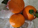 泰汇吃四川爱媛38号果冻橙 新鲜当季水果柑橘桔子时令 9斤（85-90MM）钻石级果王净8.5 实拍图
