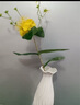 京东鲜花 法式陶瓷花瓶高级感插花水养鲜花客厅餐桌摆件白色艺术奶油风 实拍图