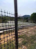 艾斯分迪养鸡塑料网格围栏网拦鸡网家用玉米养殖网鱼塘防护网围栏栅栏户外 1.0米高50米长-送扎带 3厘米孔2.3厚【简单防护】 实拍图