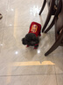 憨憨乐园狗狗猫咪衣服宠物泰迪幼犬柯基小型犬秋冬装服饰用品 招财款L号 实拍图