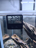 老漁匠鱼缸温度计智能小巧高精度电子数显液晶水温表水族箱养鱼测温仪 【透屏智能记录高低温】T5温度计黑色 实拍图