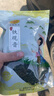 琛牌 浓香型铁观音茶叶 新茶高山乌龙茶250克散茶袋装原产地茶农茶园 实拍图