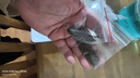噢水噢鳌虾观赏虾鱼缸淡水宠物大型水族活体虾龙纹天空蓝魔红白蓝小鳌虾 蓝螯虾4厘米1对 实拍图