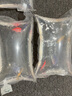 卡奇鱼 斑马鱼 淡水鱼 观赏鱼 小型观赏鱼 热带鱼 蝶翼斑马荧光好养易活 七色套餐B（图上每种各2条） 实拍图