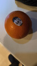 聚享优果美国进口新奇士3107黑标脐橙Sunkist进口橙子甜橙单个170-210克 10个装 实拍图