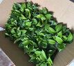 双盟绿萝盆栽除甲醛花卉绿植办公室新房净化空气110福字8盆装源头直发 实拍图