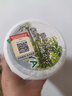 蝶矢（Choya）俏雅 经典纪州梅酒 14度 430ml 日本梅酒 原装进口 实拍图