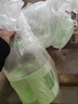 鹏实鸽具信鸽用品用具/赛鸽用具/饮水器/水壶/鸽子用水槽鸟用水壶水桶 2升优质透明饮水壶 实拍图