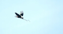 索尼（SONY）E55-210mm F4.5-6.3 0SS  APS-C画幅远摄变焦镜头 SEL55210 银色55-210【888】 标配 实拍图