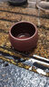 汉唐宜兴紫砂茶杯手工茶水杯原矿功夫茶具单杯主人杯茶盏泡茶杯子 紫泥 手工紫砂杯 90ml 实拍图